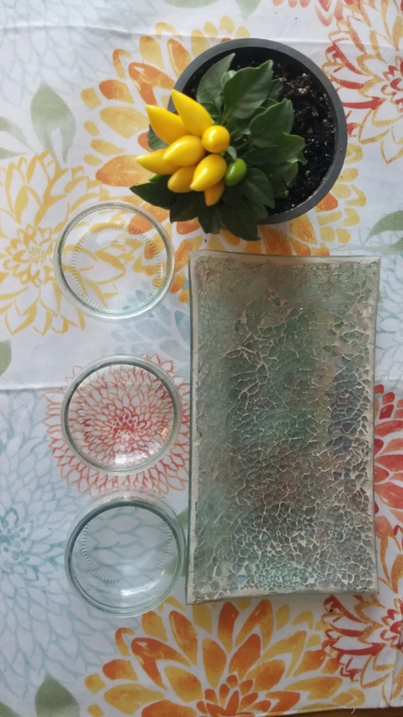 ORNAMENTAL Pepper Plant+Mosaic Tray+Dessert Bowl - photo 5