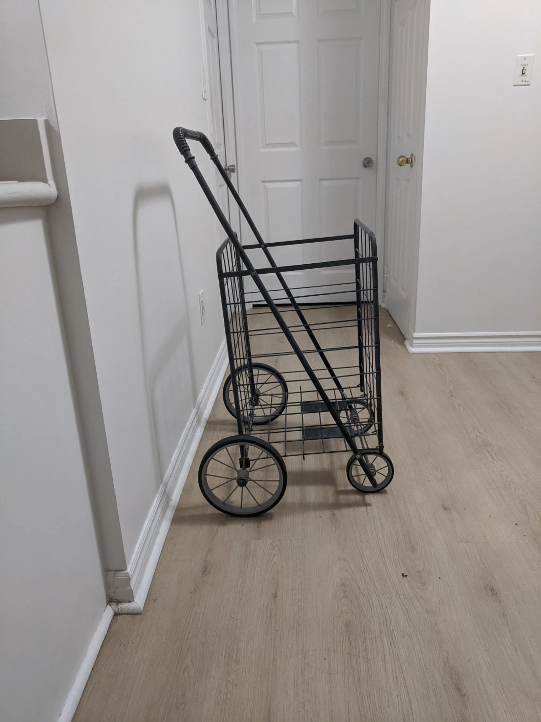 Big Metal Shopping Cart