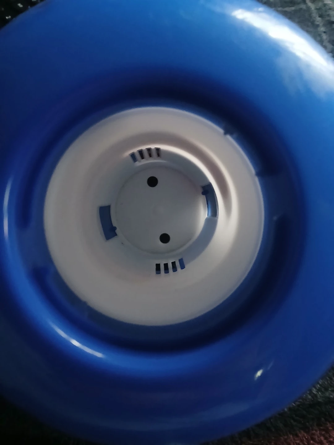 Floating Pool Chemical Dispenser - photo 4