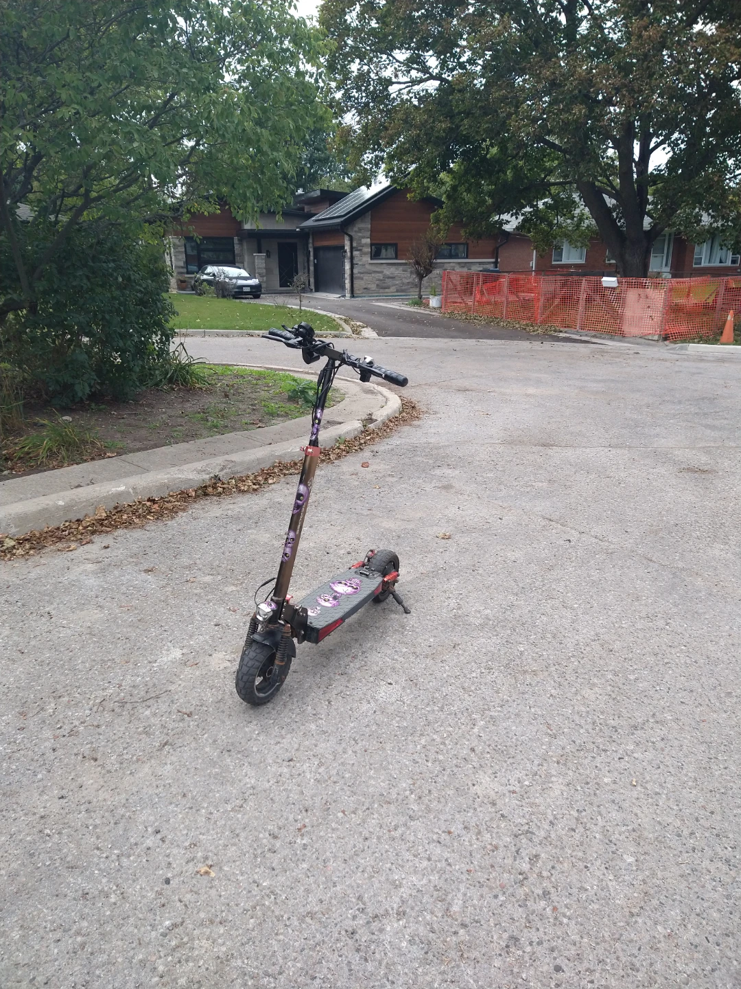 Electric Scooter