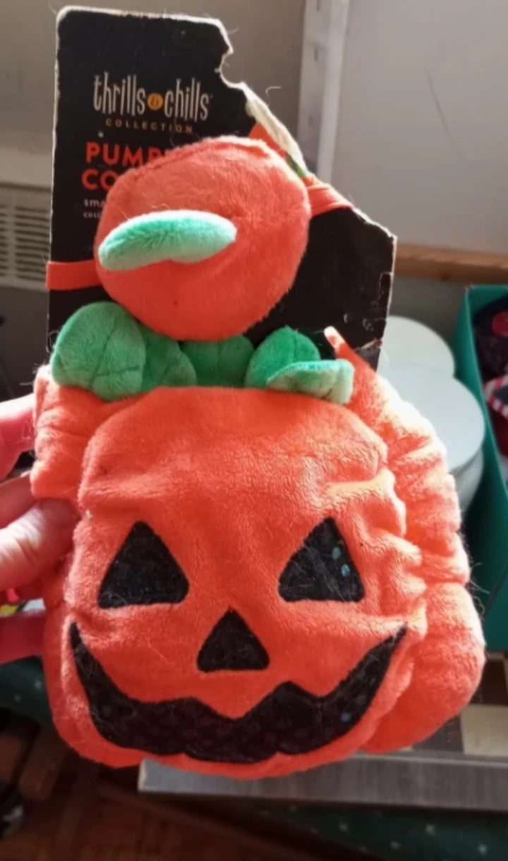 Thrills & Chills Pumpkin Small Animal Costume