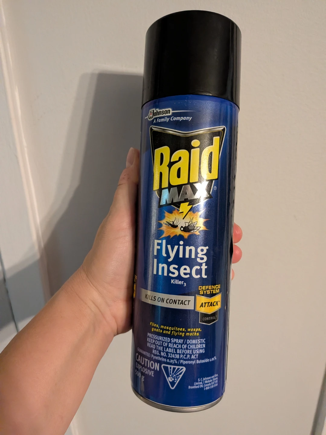Big bottle Raid Max Flying Insect Killer 500g - photo 4