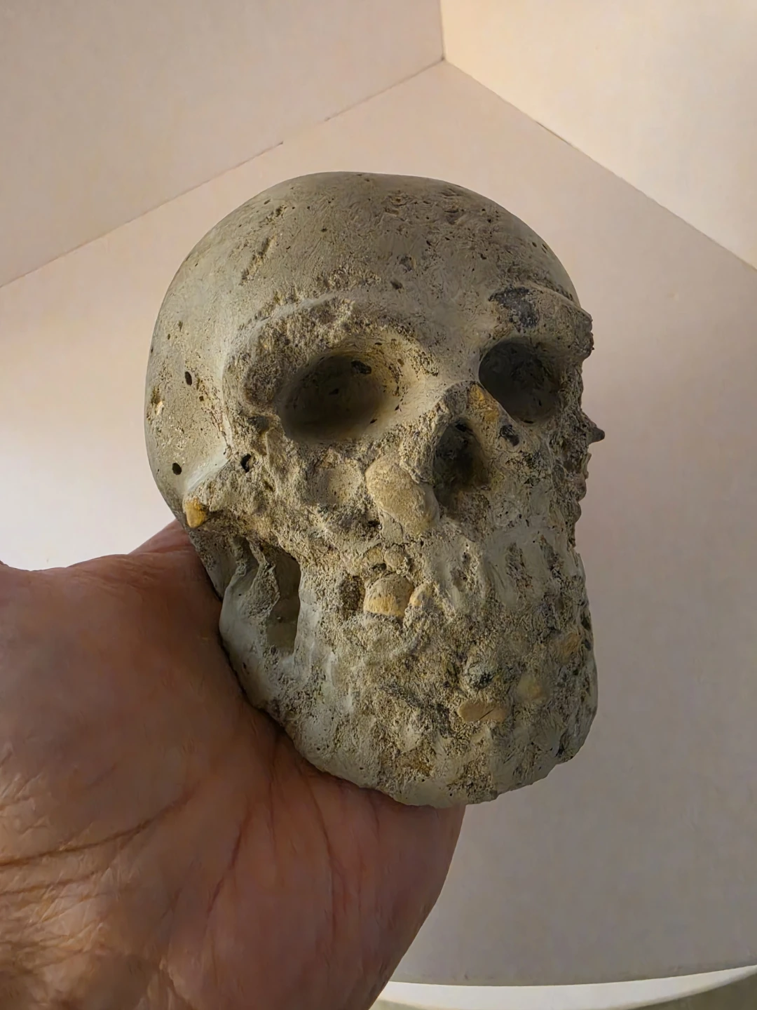 Decorative Concrete Skull Sculpture