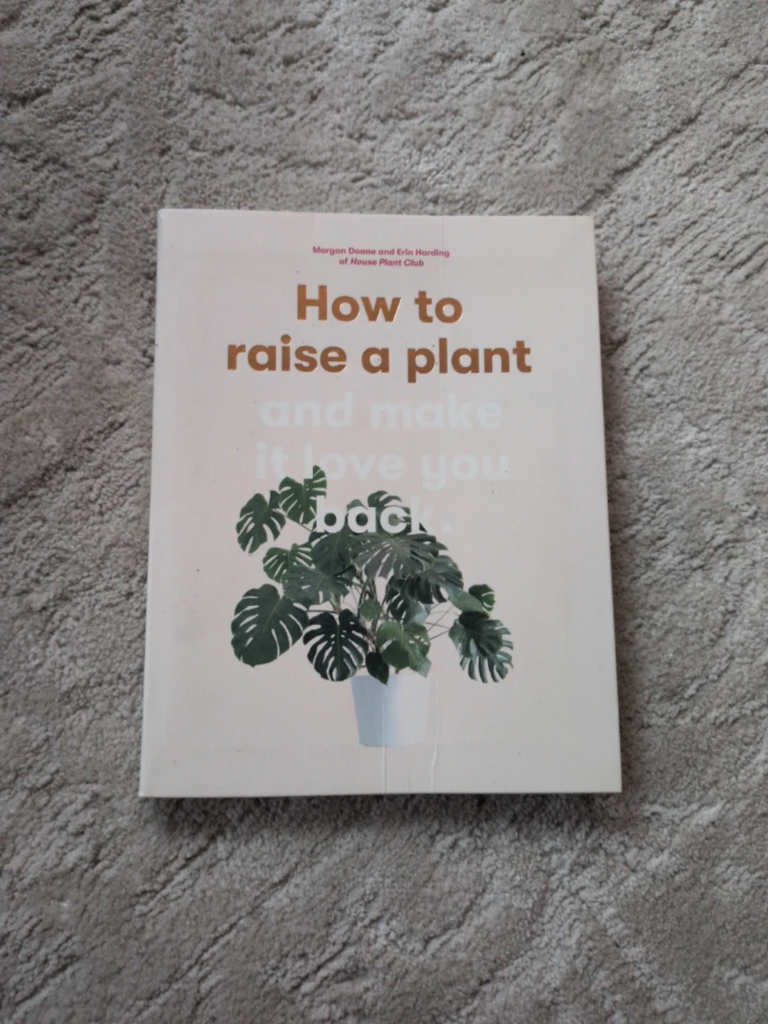 How to Raise a Plant and Make it Love You back