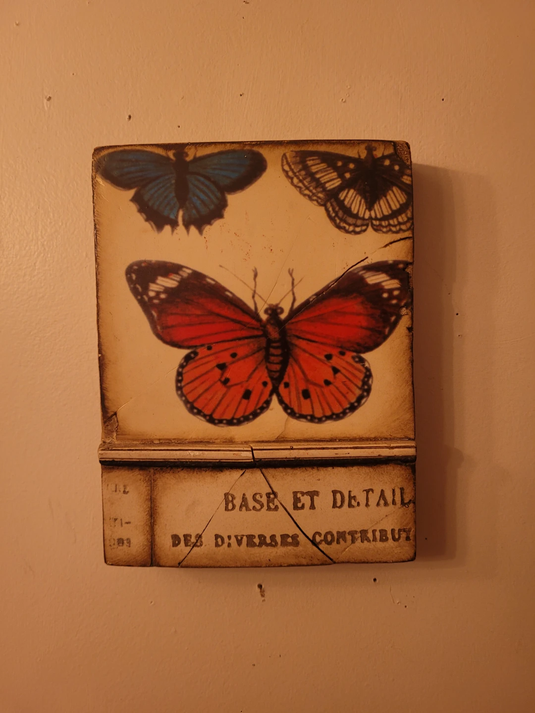 Sid Dickens Butterfly Tile and Knowledge tile