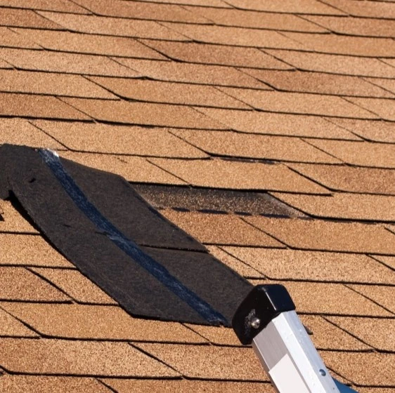 Fix leaky roof and missing shingles