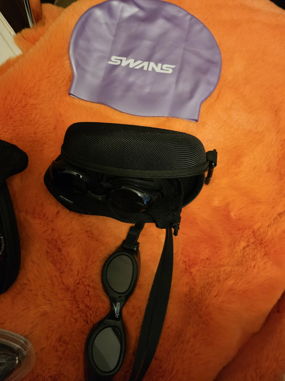 Speedo and Swans swimming gear - photo 3