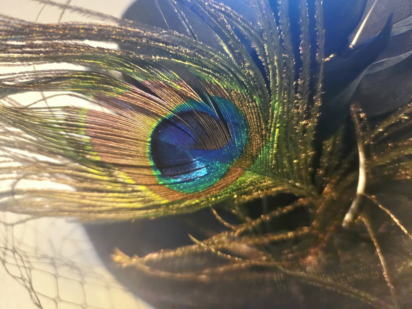 Black felt top hat with peacock feathers and veil - photo 2