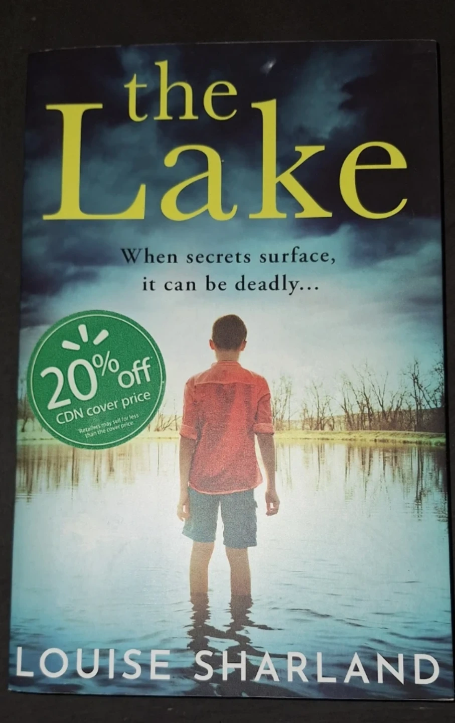The Lake by Louise Sharland🏈