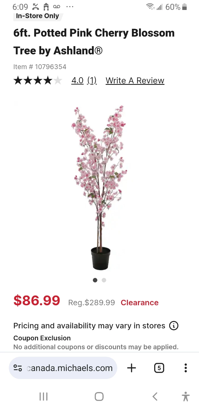Ashland 6ft Pink Cherry Blossom Trees - photo 3