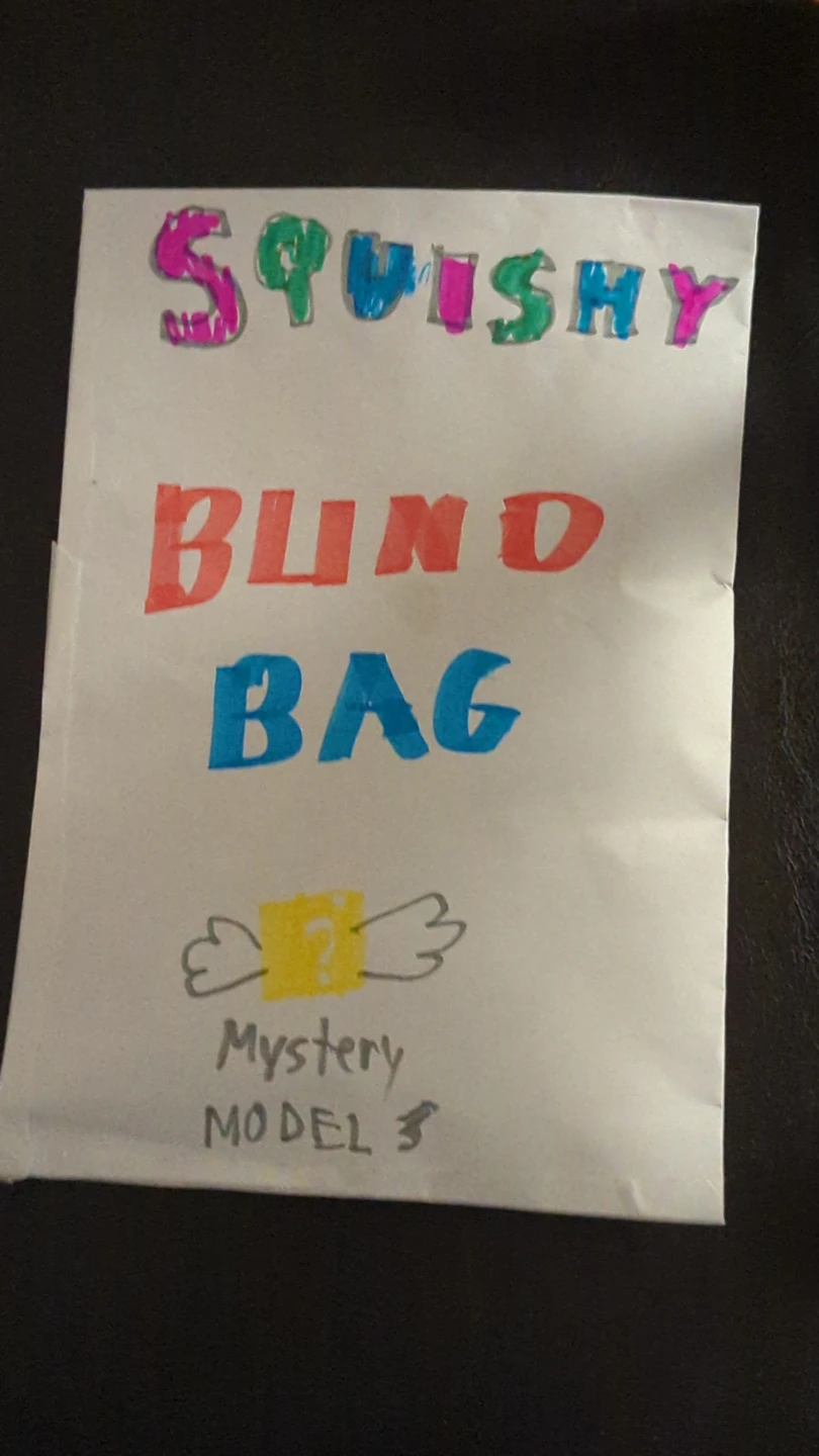 Squishy Blind Bag Mystery Model
