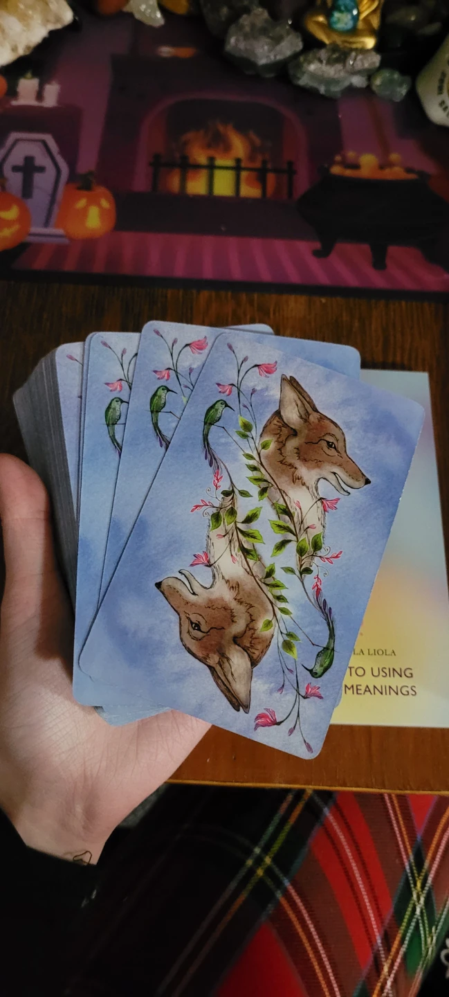 Tarot Cards, Animal Wisdom - photo 5