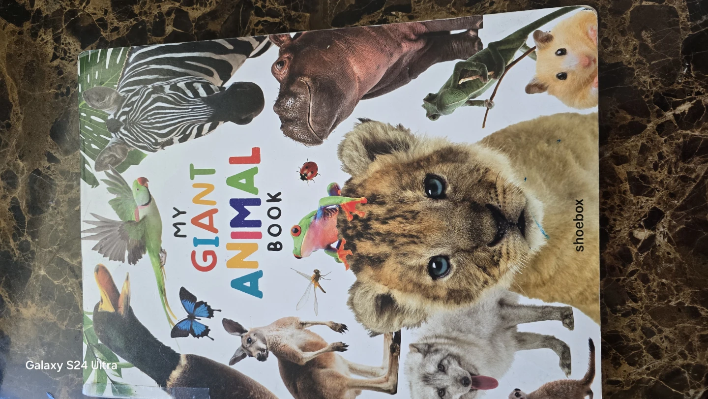 My Giant Animal Book Children's Book