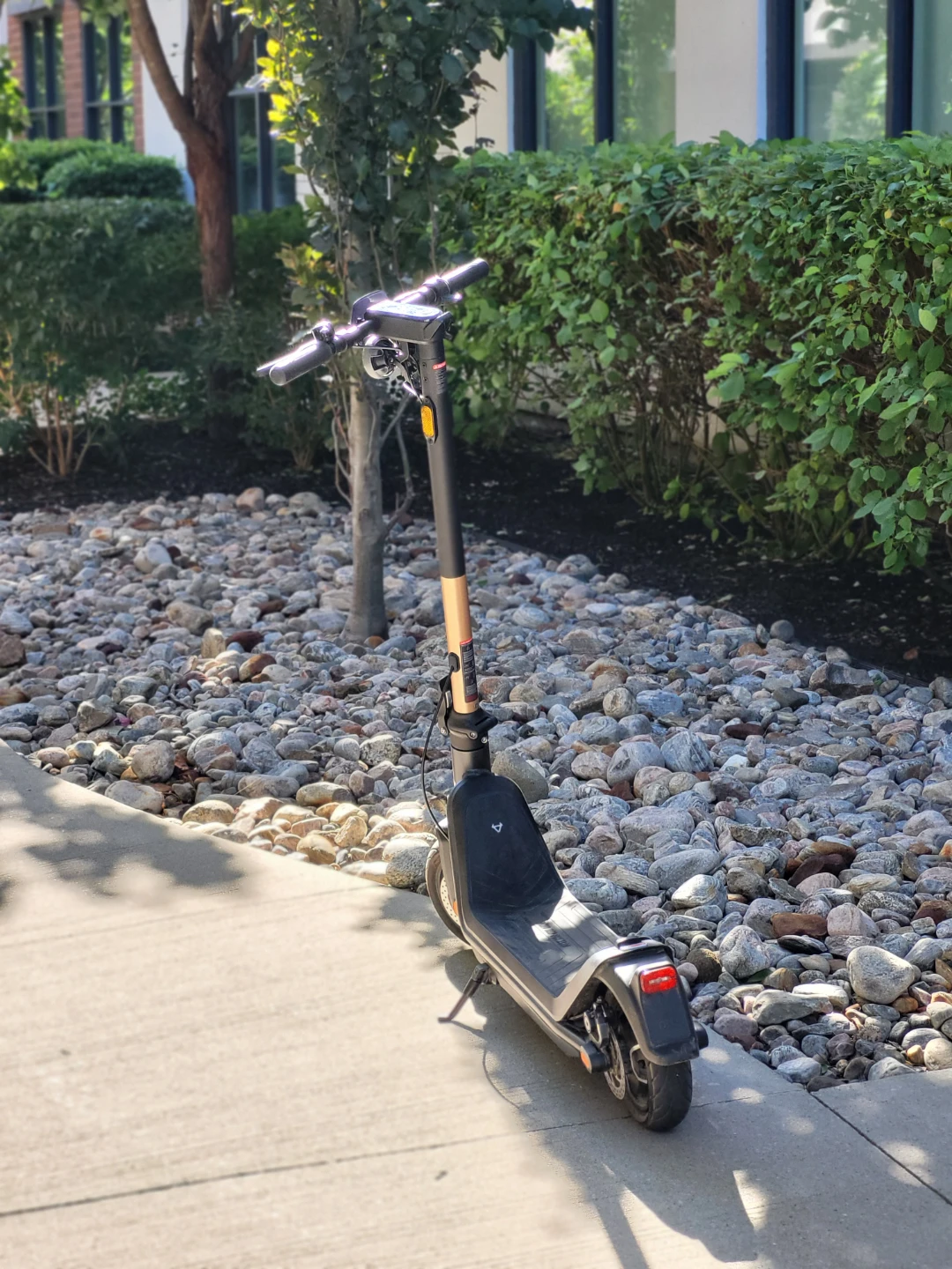 NIU Electric Scooter
