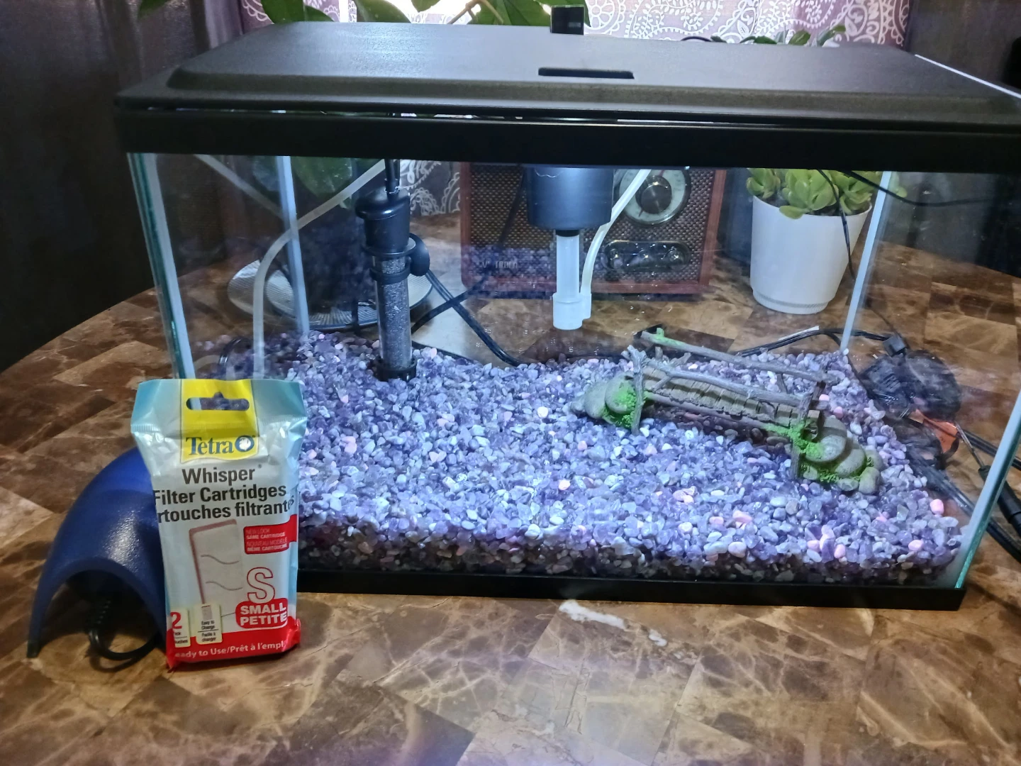 Glass Aquarium Tank 5 gallons with everything in the picture - photo 3