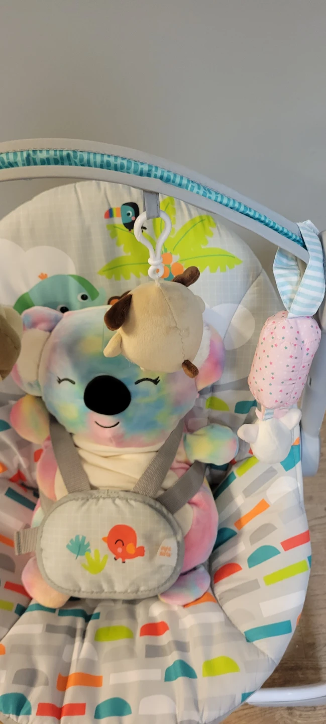 Bright Starts Koala Baby Bouncer Swing - photo 2