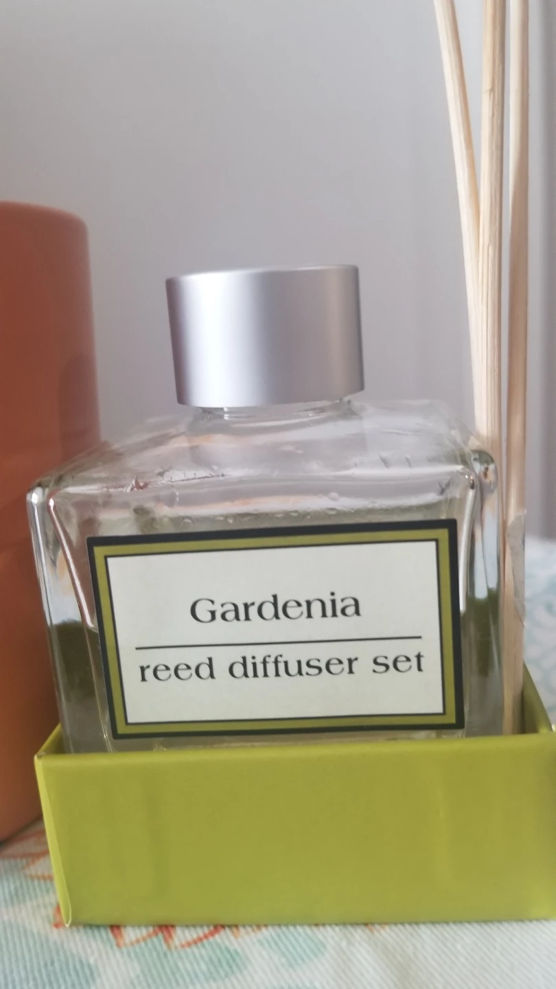 Croton plant+ Ceramic Pot and Gardenia reed diffuser set - photo 5