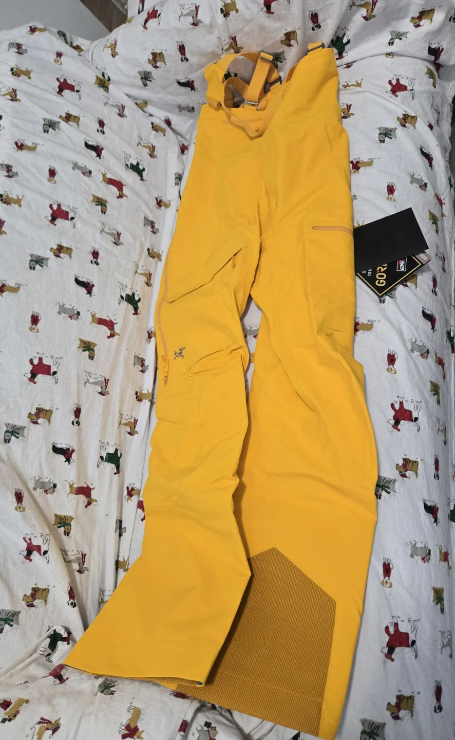 Half Price - New Arcteryx Gore-Tex Bib Pants - photo 4