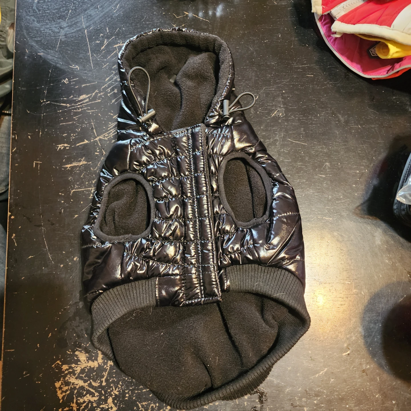 Assorted Dog Apparel and Accessories