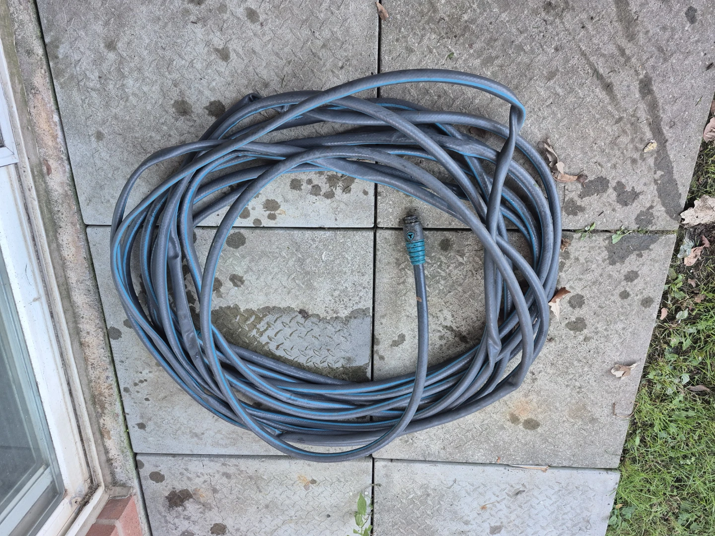 Garden Water Hose