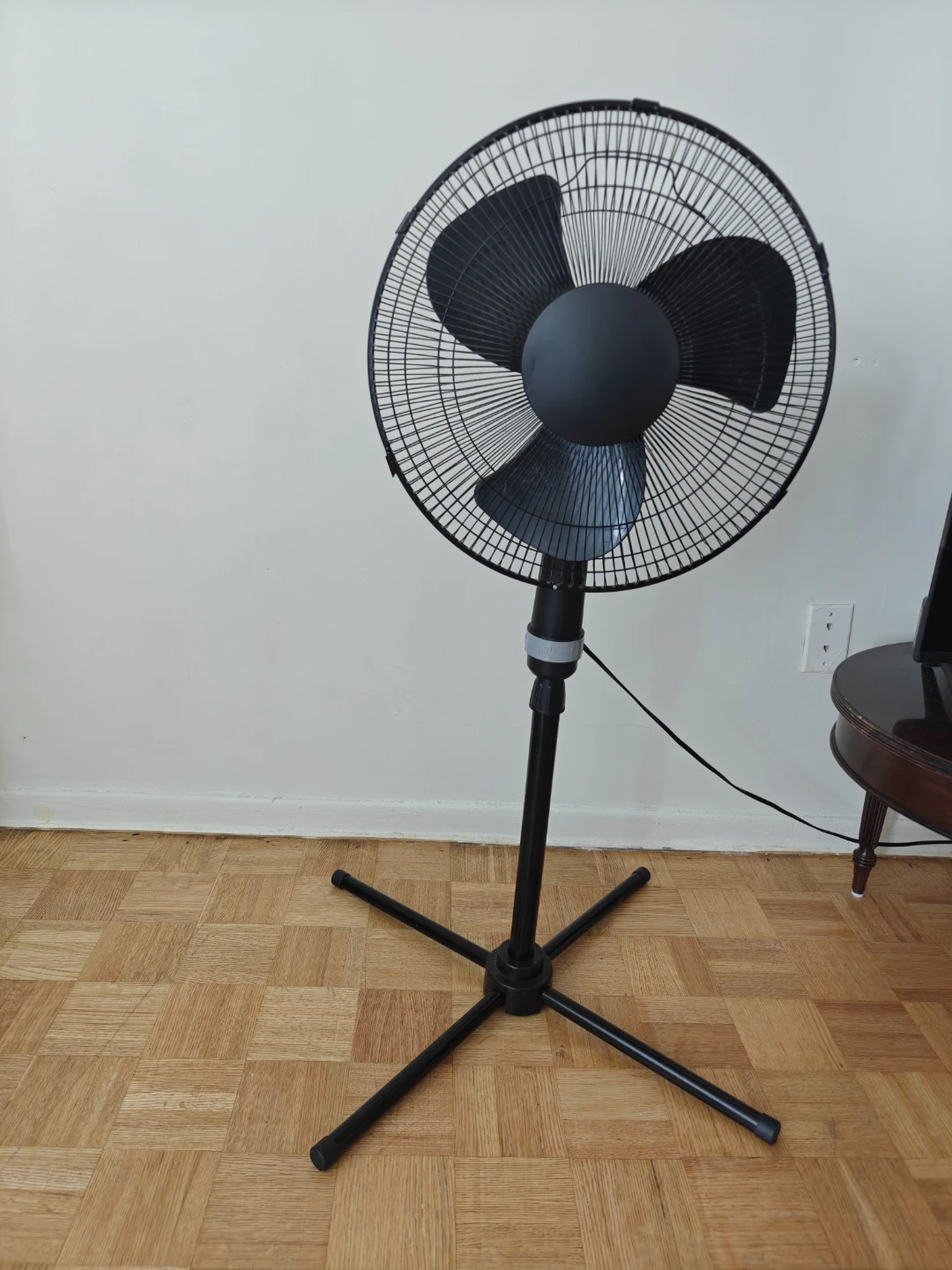Black Pedestal Fan