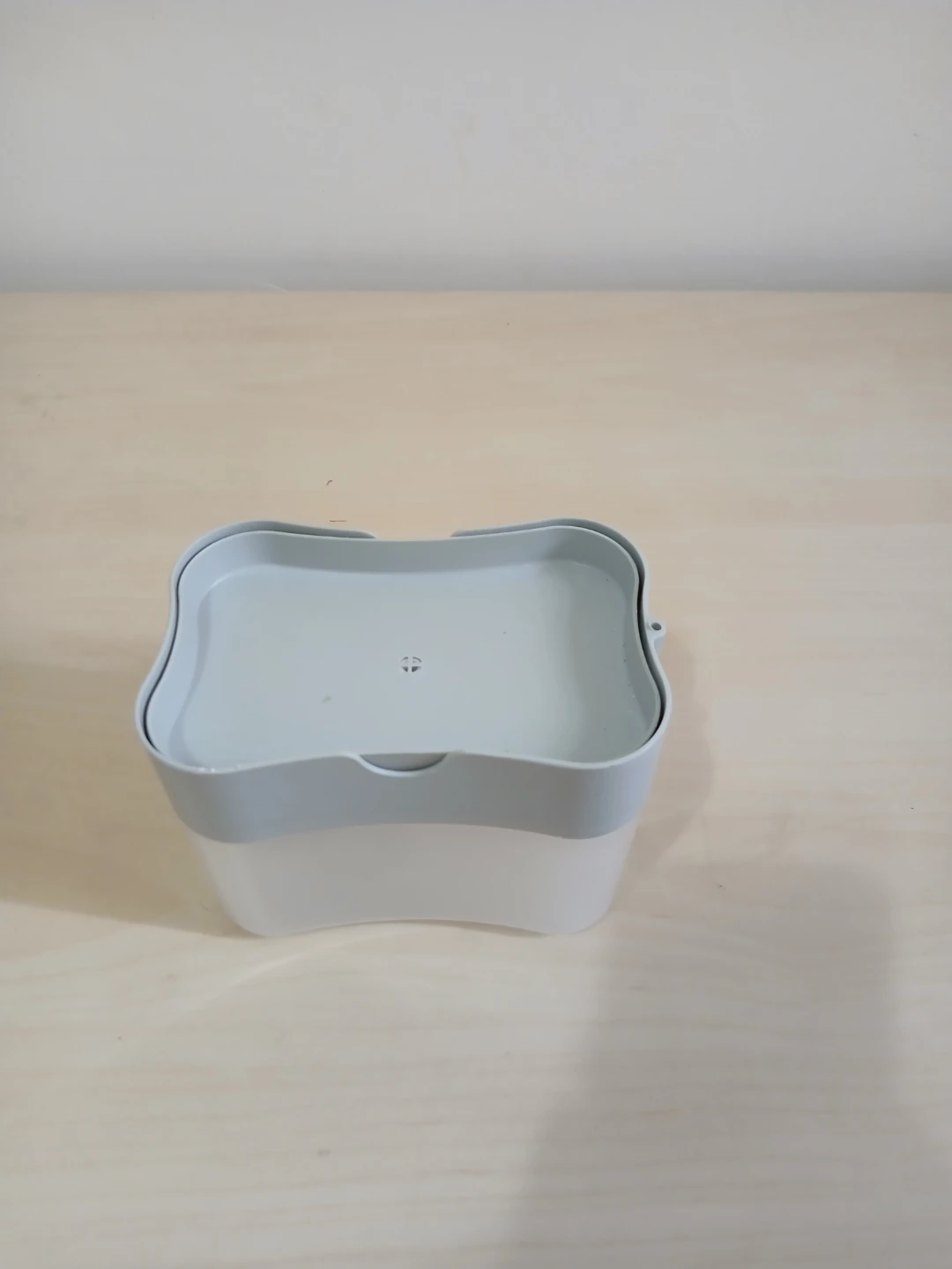 Manual Soap Dispenser - photo 2