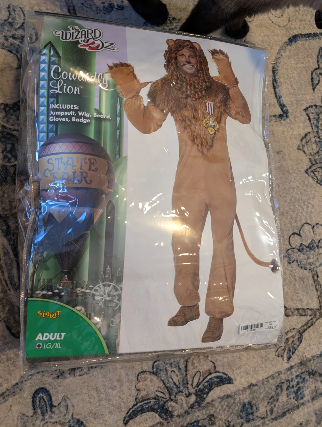 Wizard of Oz Scarecrow and Cowardly Lion Costumes - photo 2