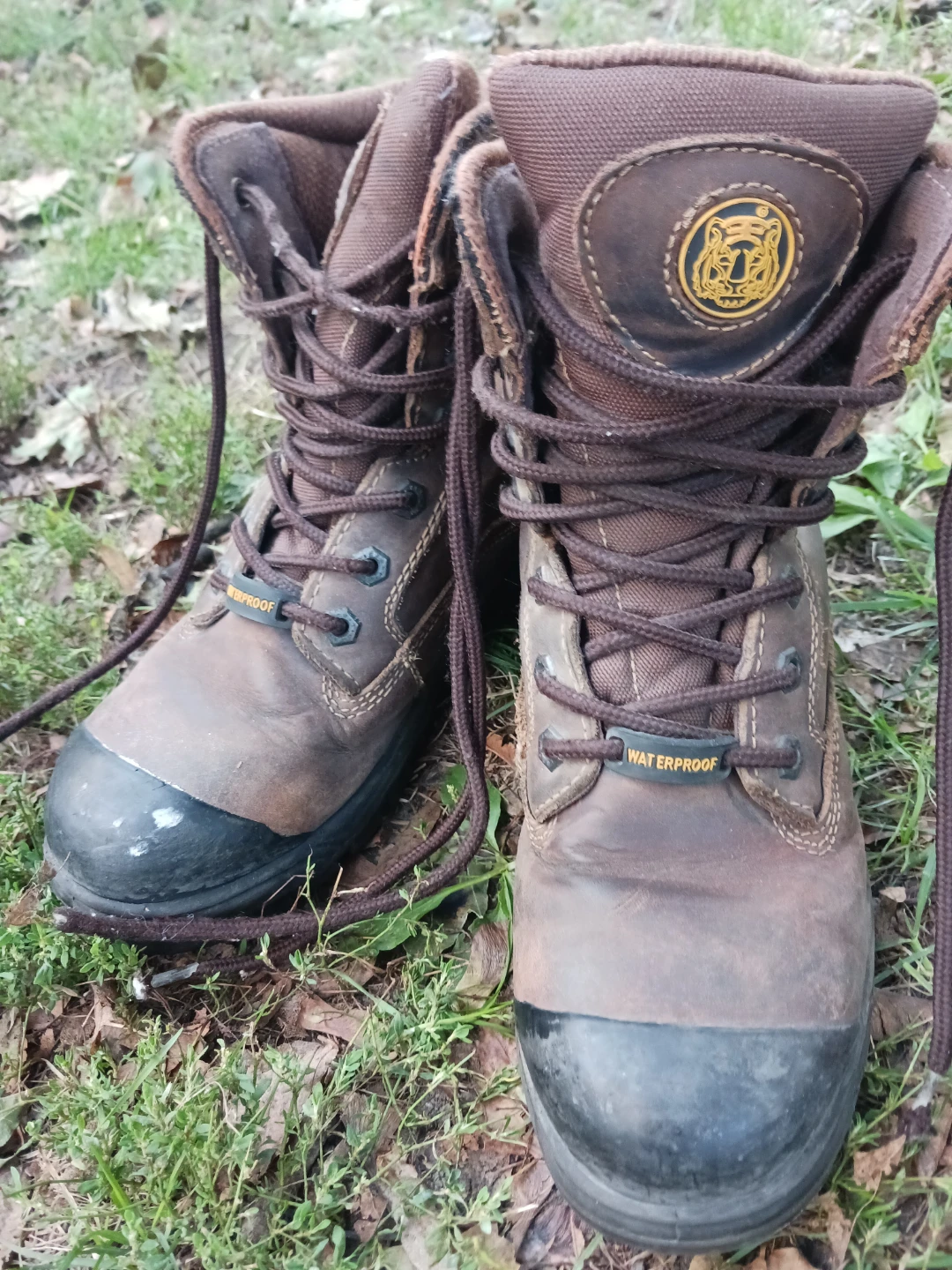 Woman Dakota Brown Waterproof Work Boots