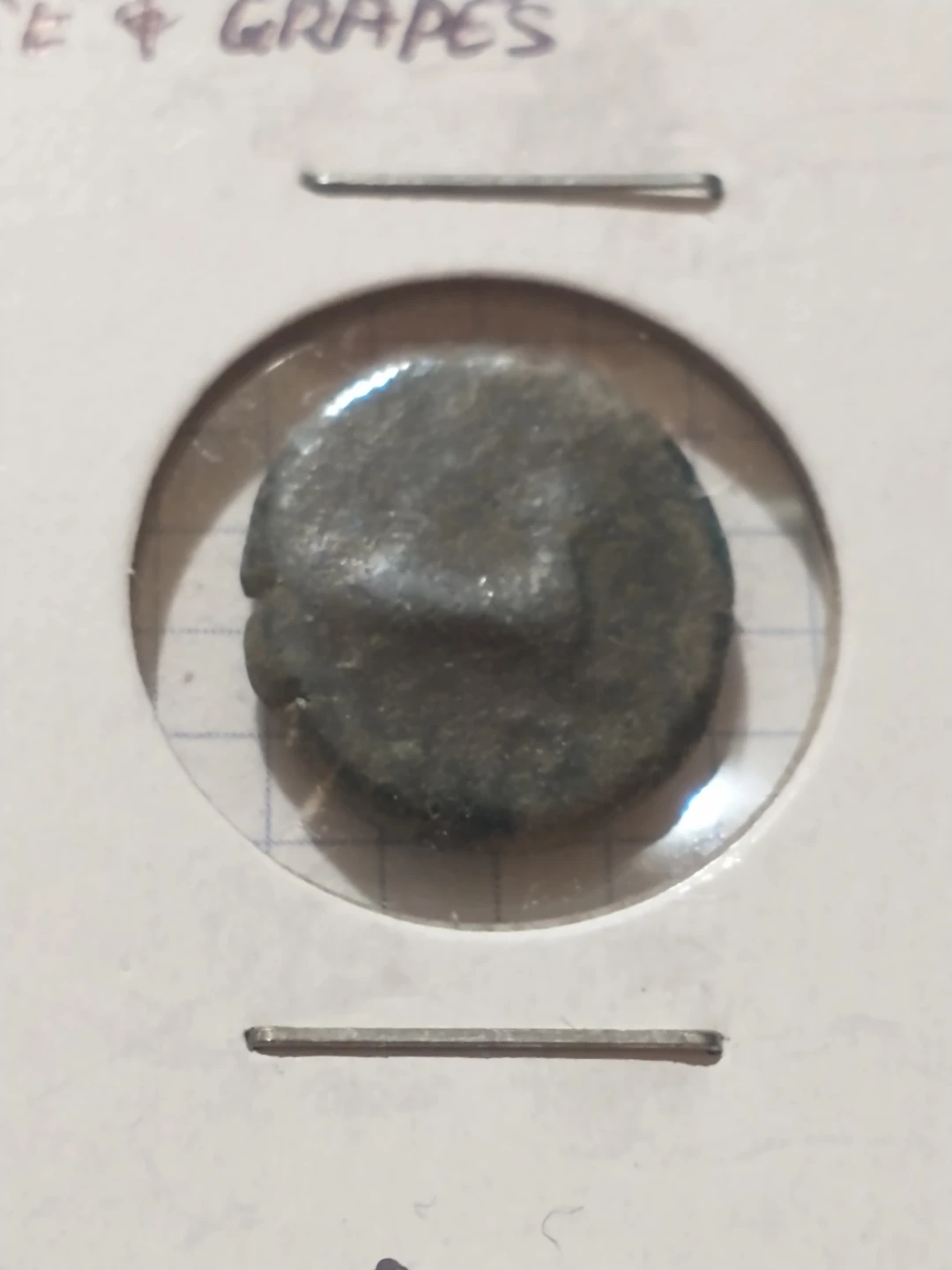 Circa 400 BC Ancient Greek Maronia Coin Horse & Grapes