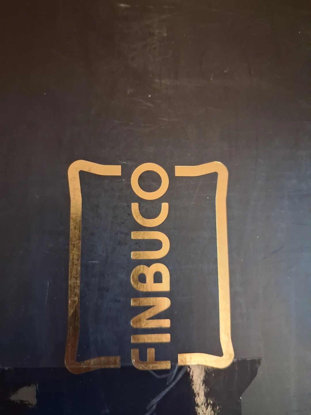 FINBUCO White Down Pillow - Queen Size