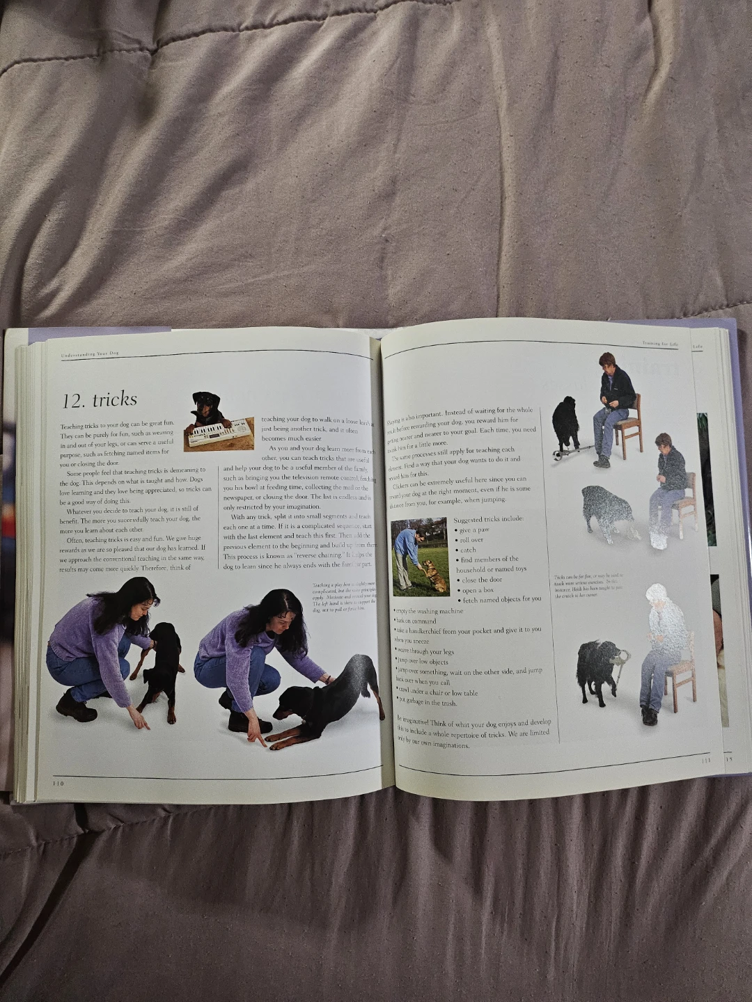 Understanding Your Dog Training Illustrated Guide Book