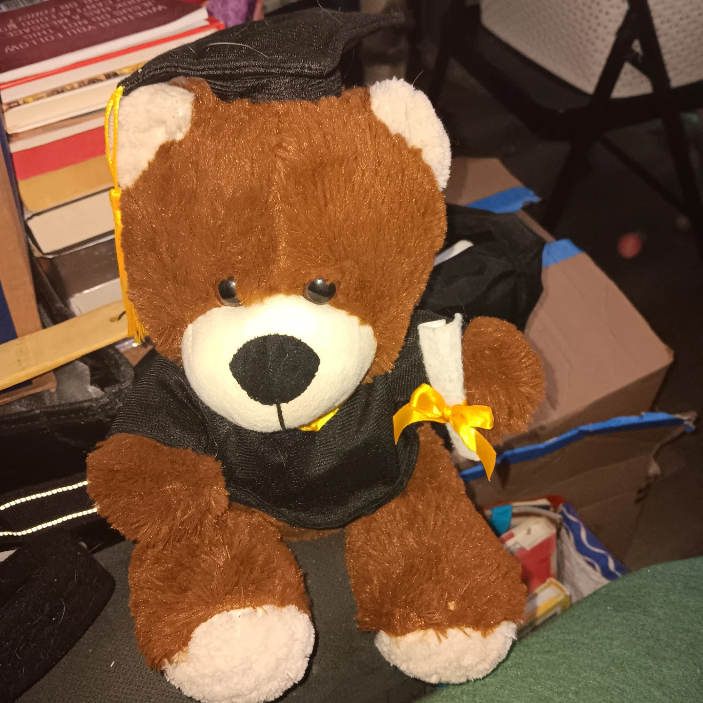 Graduation Teddy Bear Plush