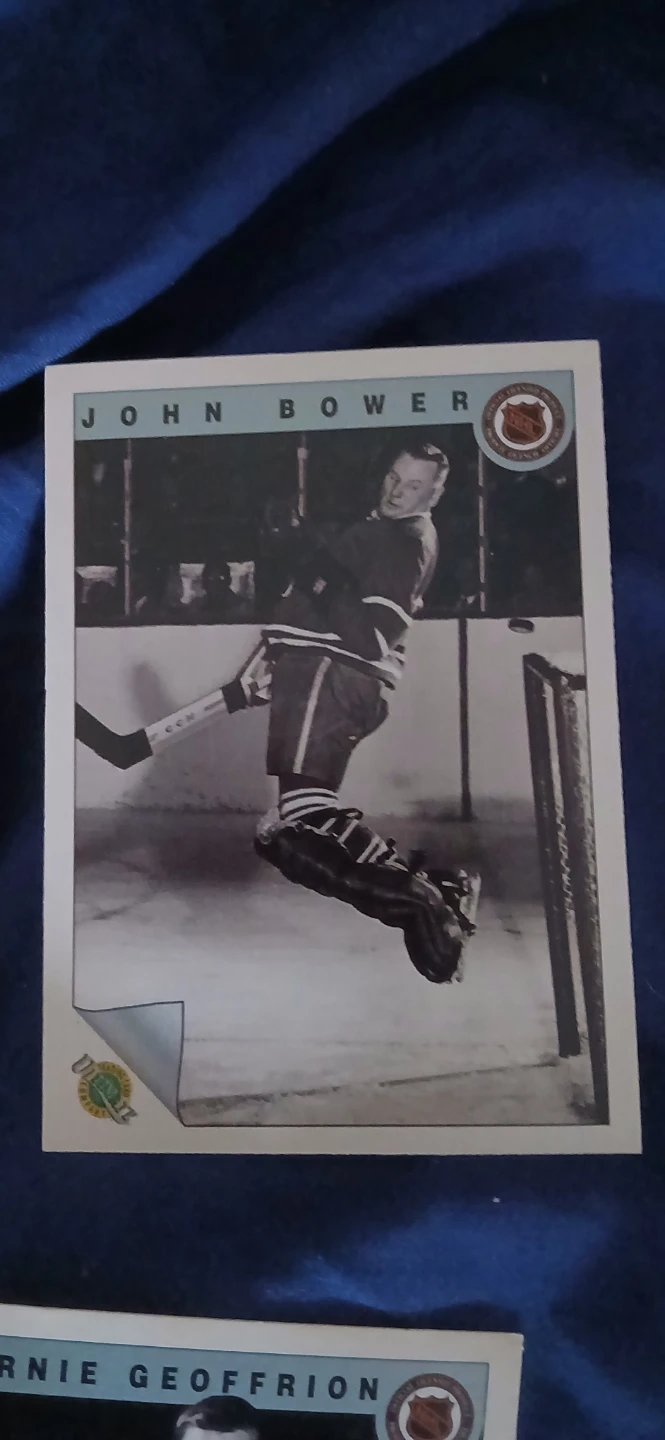 Collection of NHL Ultimate Hockey Trading Cards - photo 3