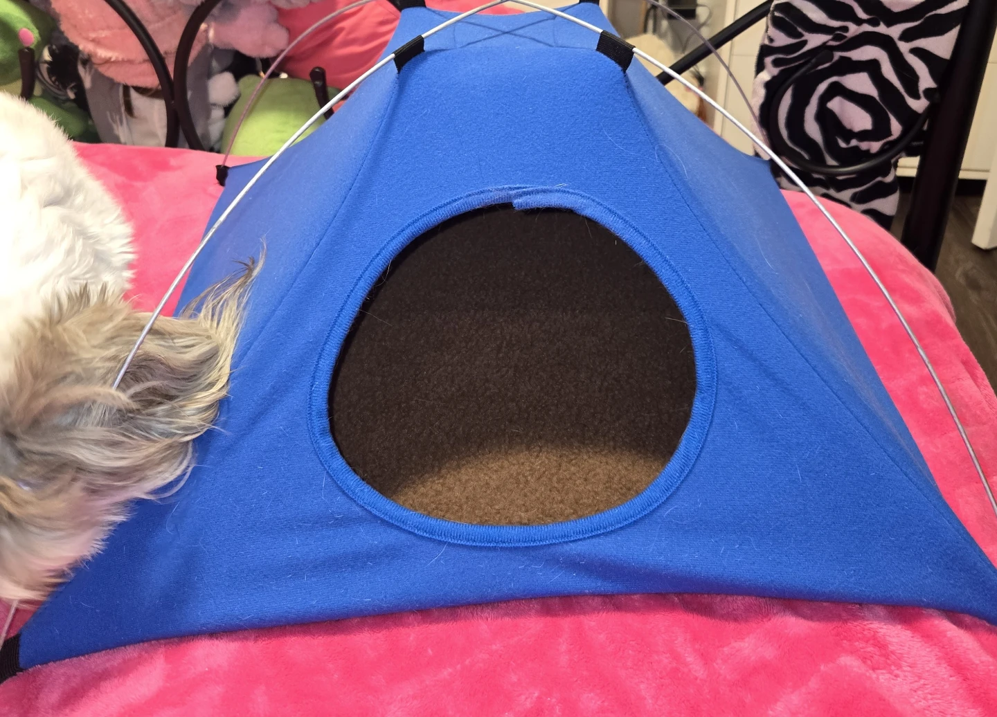 Blue Pet Tent Bed