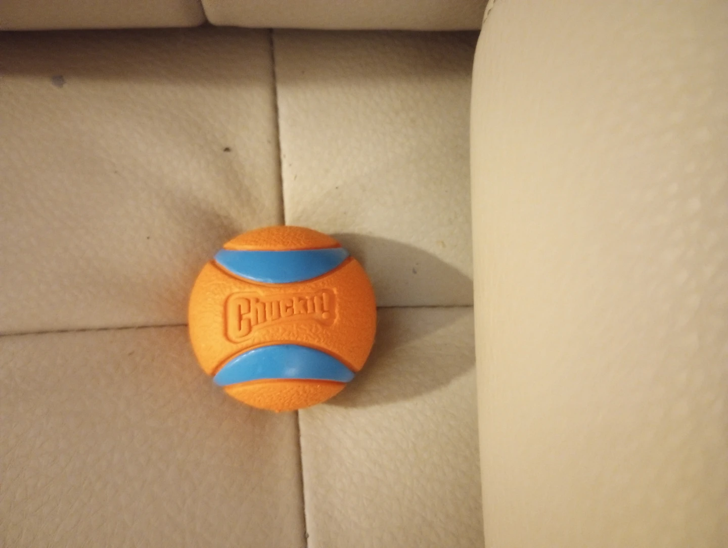 Unused Chuck It Dog Balls - photo 5