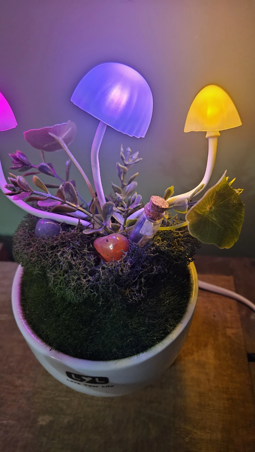 Mushroom night light