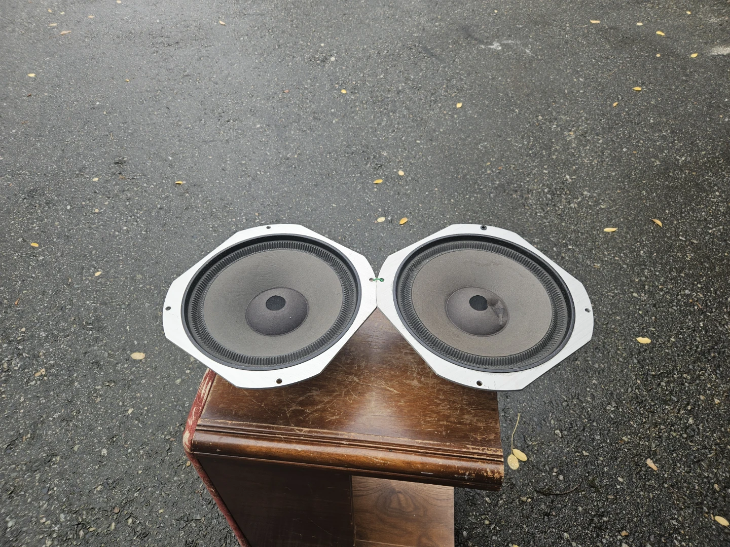 Pair of 14-inch Replacement Speaker Drivers - photo 2