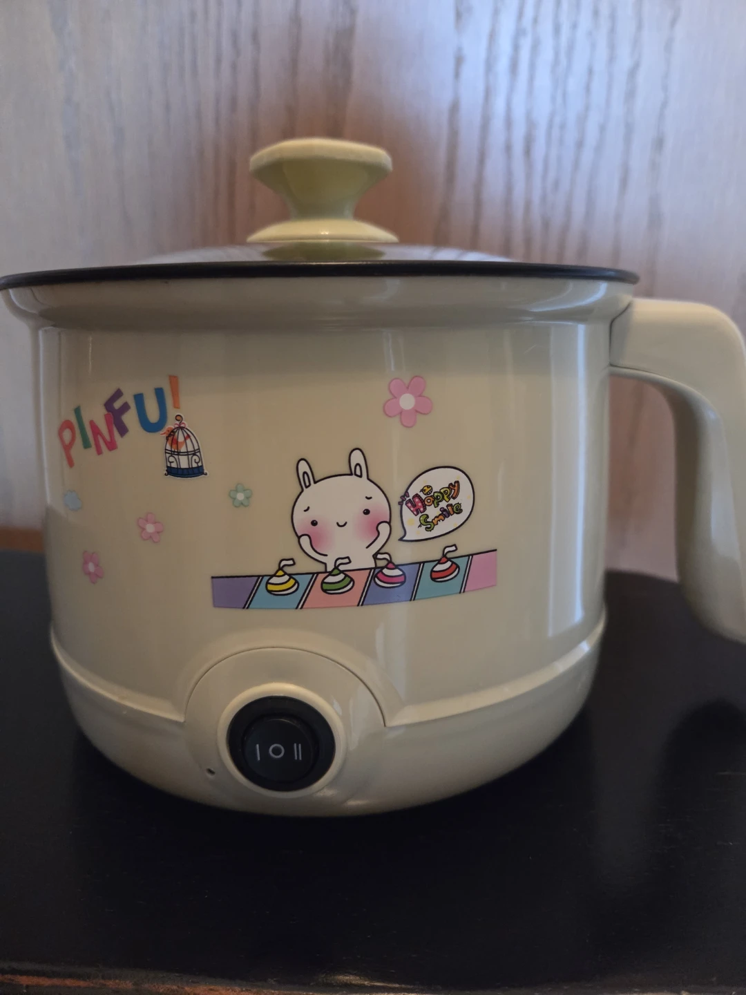Electric Mini Pot