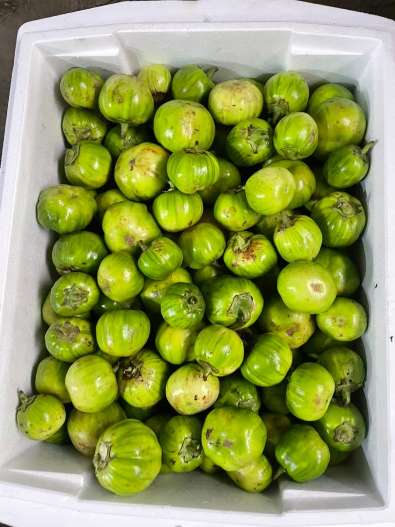 Fresh Garden Eggplants - photo 2