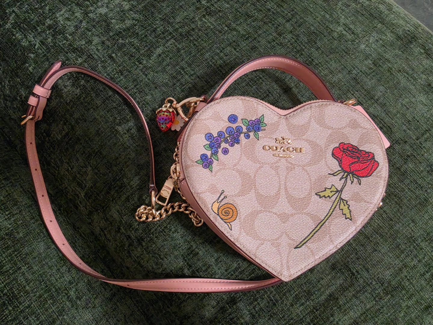 Coach Heart Bag Crossbody Canvas With Rose Snail Blueberries