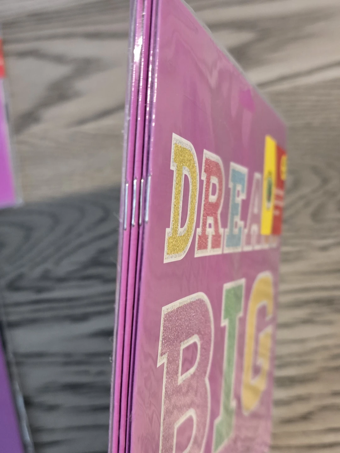Blank Books (Pack of 4) - photo 3