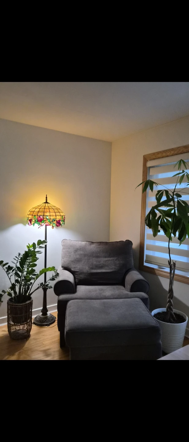 Couch For sale -$500 - photo 2