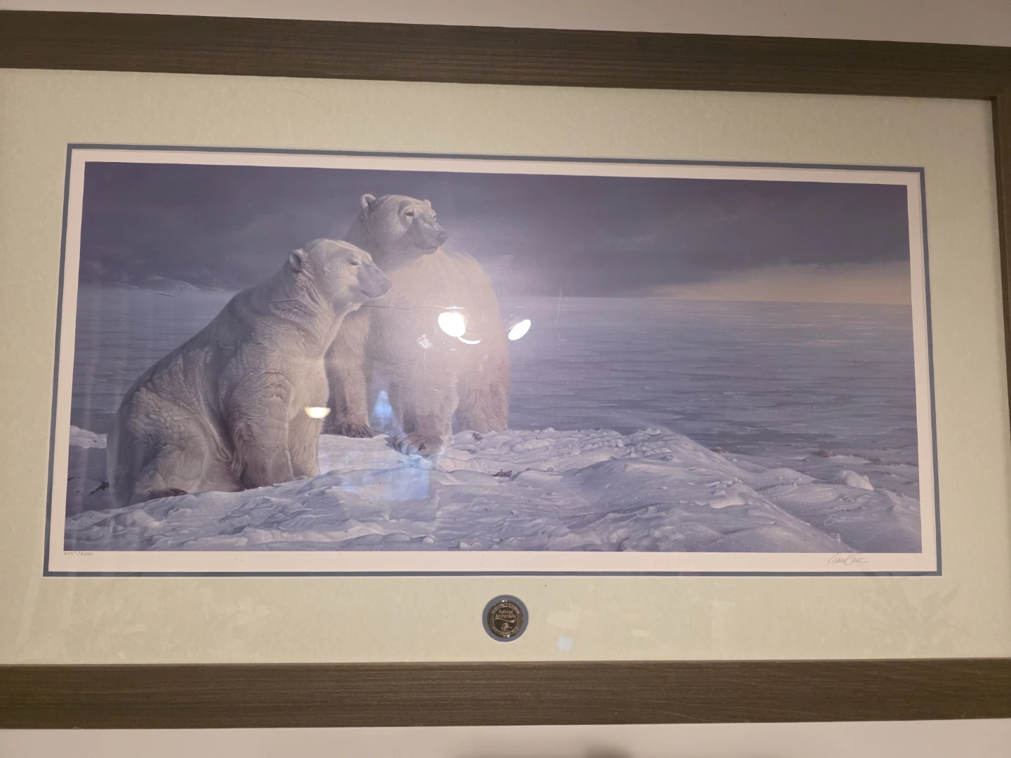 Polar Bear Ducks Unlimited