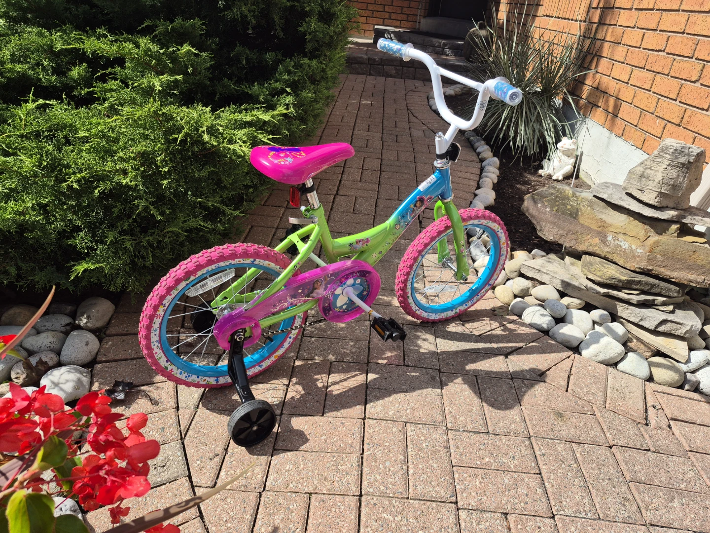 GREAT Disney Kids Bicycle