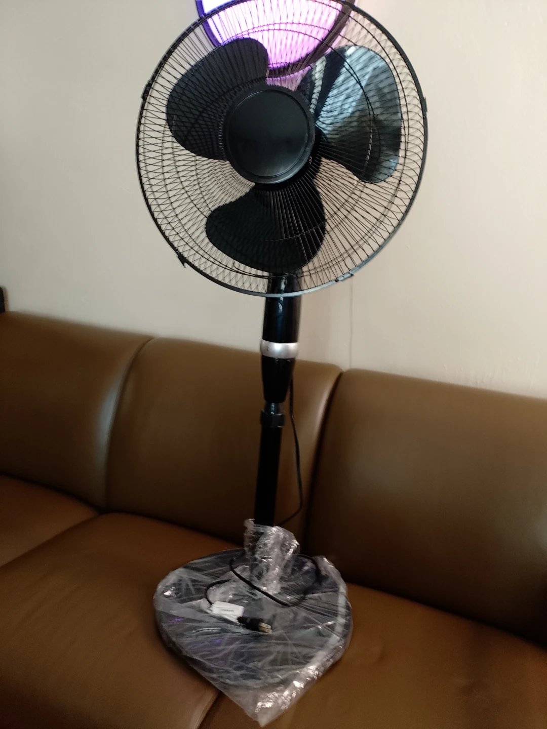 Black Pedestal Fan