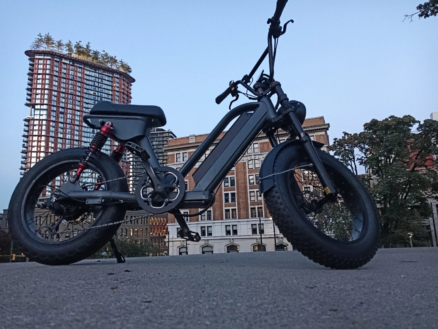 Black Electric Fat Bike Custom Made - photo 3