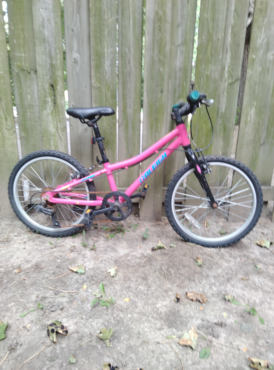 Pink Raleigh Kids Bicycle