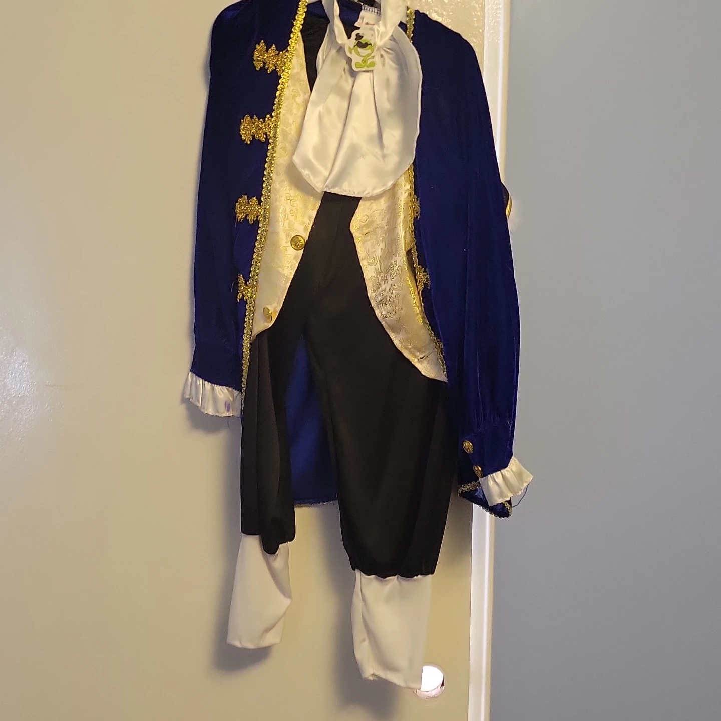 Colonial Style Costume - photo 3