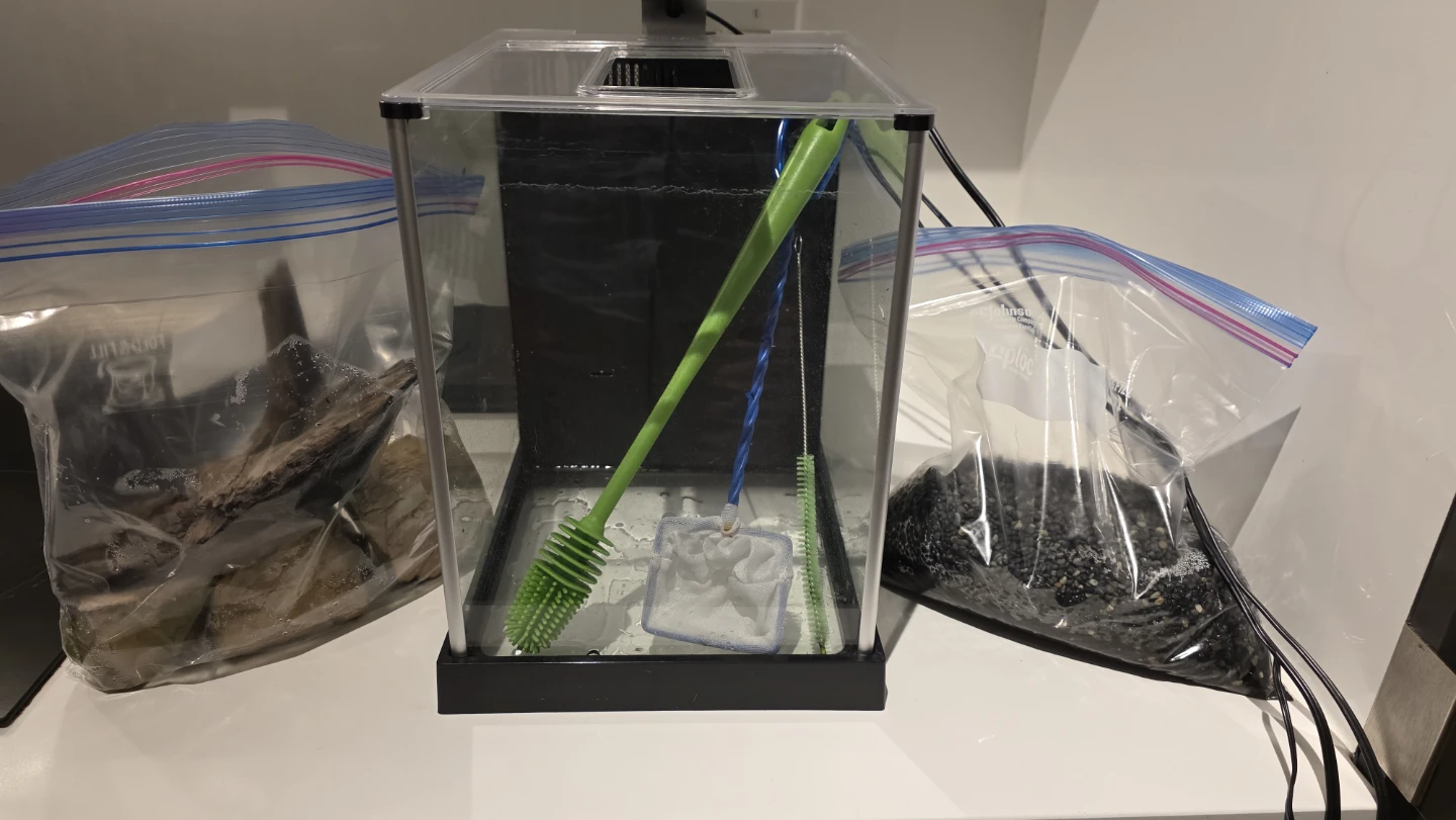 5 Gallon Fluval Betta tank