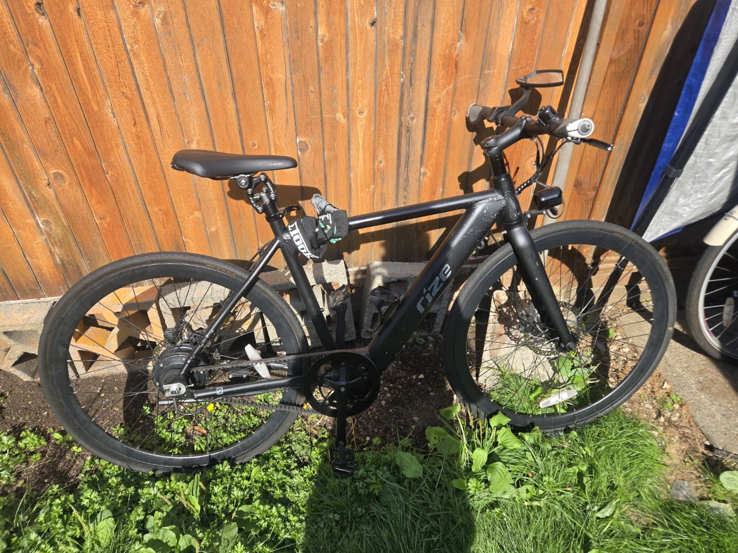 Rize electric bike